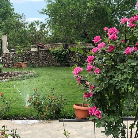 Chez Yvette Bed & Breakfast Garni Ngoại thất bức ảnh